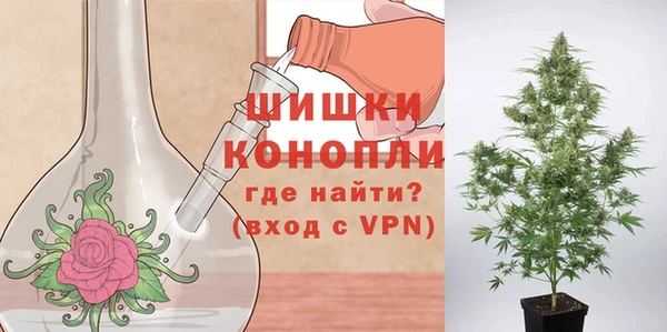 гашик Киреевск
