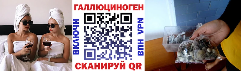 Галлюциногенные грибы ЛСД  Купить где  Ульяновск 